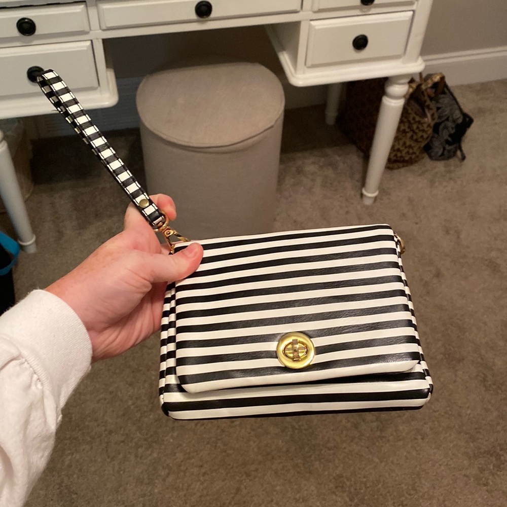 NWOT Striped Bag/Wristlet